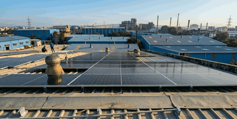 Sustainability